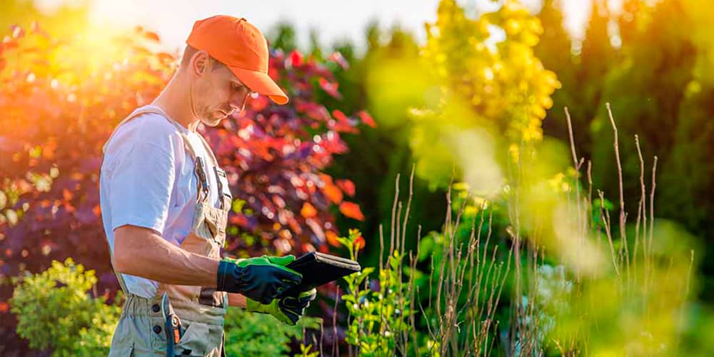servicios de jardinería